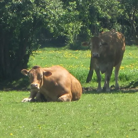 Am Bauernhof *
